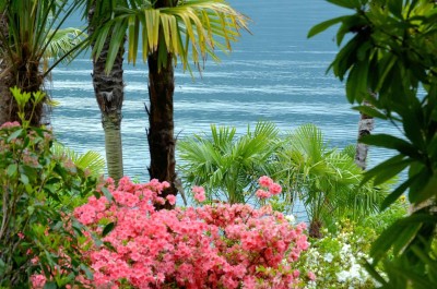 Giardino-16-Garni-Rivabella-au-Lac-Brissago-Locarno-Ticino