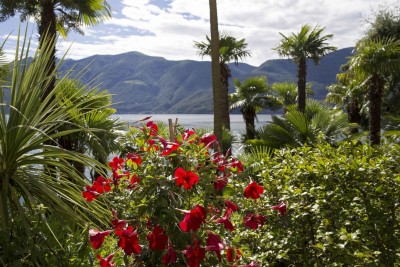 Giardino-18-Garni-Rivabella-au-Lac-Brissago-Locarno-Ticino