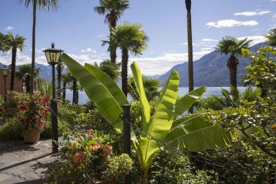 Giardino-4-Garni-Rivabella-au-Lac-Brissago-Locarno-Ticino