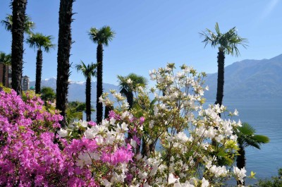 Giardino-7-Garni-Rivabella-au-Lac-Brissago-Locarno-Ticino